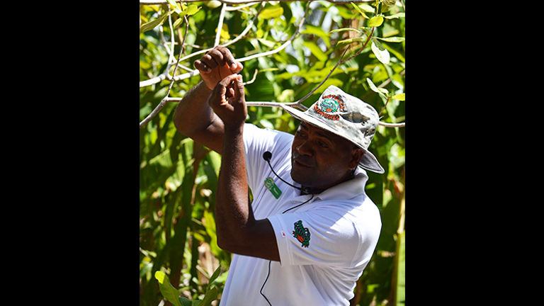 Manny, our enthusiastic tour guide, pointing out the fruit and vegetables grown at a local Puerto Plata home // © 2015 Valerie Chen