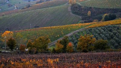 Brendan Vacation's Slow Food Travel itineraries mix classic favorites with local food production. // (c) 2013 Mindy Poder