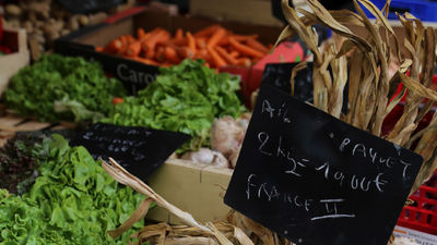 France itineraries that include food and wine traditions are trending, giving Burgundy, Provence and Lyon a visitor boost. // © 2016 Mindy Poder