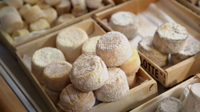 Sample goat cheese at Chevrerie la Trufiere in Macon, known for its bouton de culotte. // © 2016 Mindy Poder