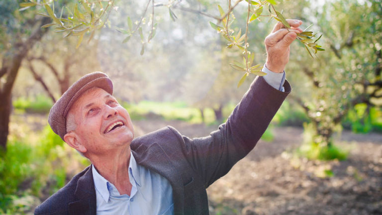 Tour operators are increasingly focusing on “people-to-people” experiences for travelers, such as meeting olive farmers in Crete. // © 2016 iStock