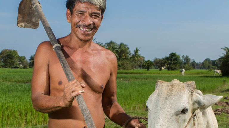 Rice farmers offer an inside look into the local community of Laos. // © 2016 iStock
