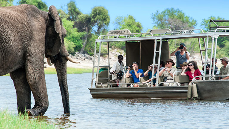 Guests onboard AmaWaterways' Discover Africa sailings will have a chance to see wildlife up close. // © 2017 AmaWaterways