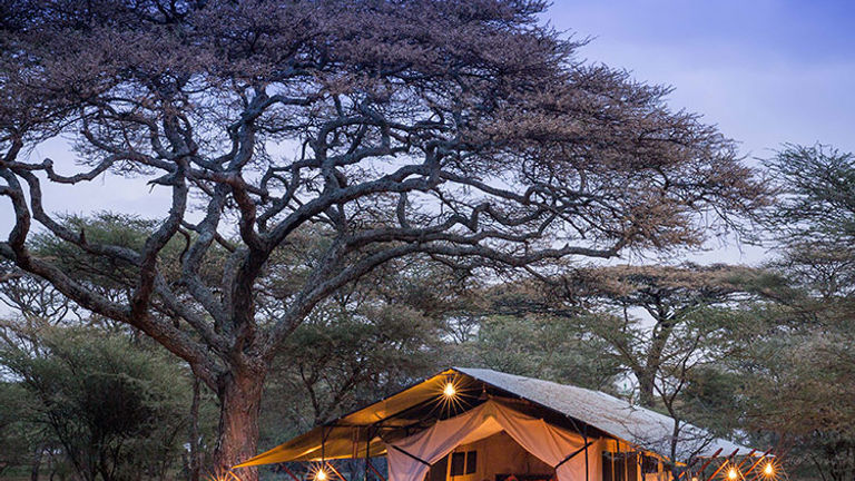 Wilderness Travel sets guests up in luxury tents during Big Five itineraries. // © 2017 Wilderness Travel