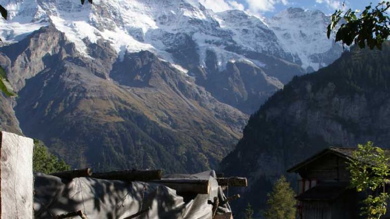 Jungfrau, Gimmelwald is composed of wildflowers and massive cabbages in perfectly plotted lush gardens, , Honorable Mention, 2012 TravelAge West reader photo contest// © 2012 Pamela Blair
