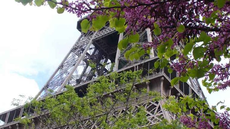 April in Paris, Honorable Mention, 2013 TravelAge West reader photo contest // © 2013 Diana Brooks