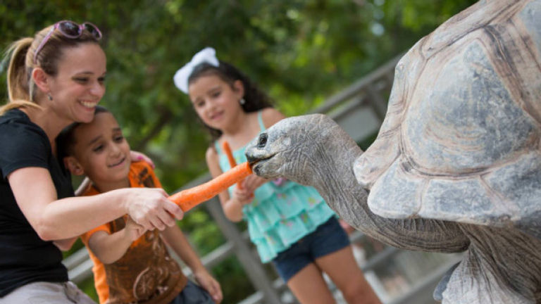 More than 450 exotic animals live at Jungle Island, an interactive zoo and amusement park. // © 2015 Jungle Island