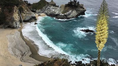 When traveling with or without kids in Big Sur, McWay Falls is an easy-to-reach sight in Julia Pfeiffer Burns State Park. // © 2016 Chelsee Lowe