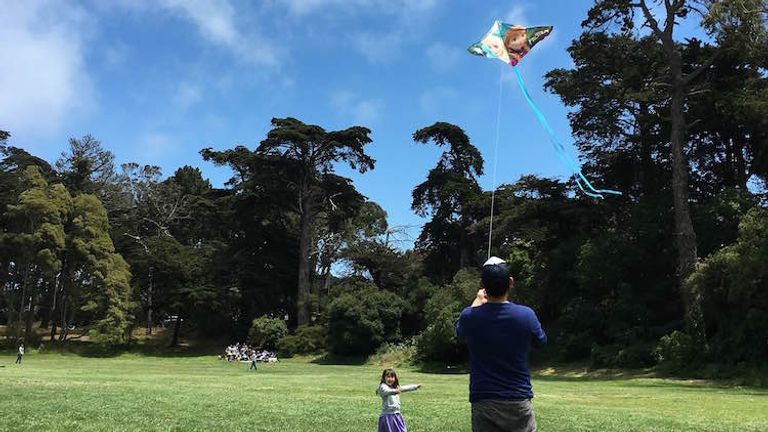 Numerous lawns make great spaces for kite flying. // © 2016 Chelsee Lowe