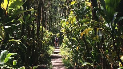 Maui provides a wealth of opportunities for traveling families, such as the 4-mile Pipiwai Trail hike. // © 2016 Lindsay Kamikawa