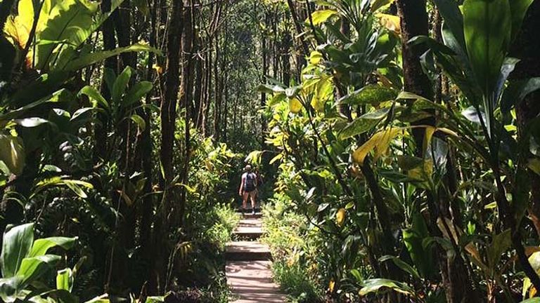 Maui provides a wealth of opportunities for traveling families, such as the 4-mile Pipiwai Trail hike. // © 2016 Lindsay Kamikawa