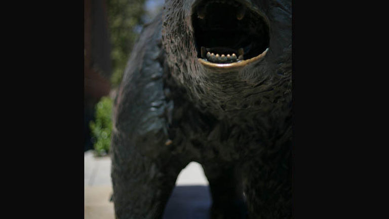 UCLA’s Bruin Statue is a favorite stop for shutterbugs and the superstitious — some students rub the bear’s back paw for good luck. // © 2015 UCLA