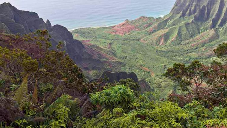 PT_KalalauValley2