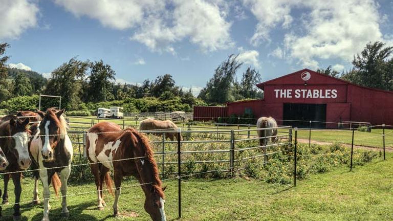 Guests can also explore the North Shore on horseback, thanks to Turtle Bay’s 12 miles of oceanfront trails. // © 2015 Turtle Bay Resort