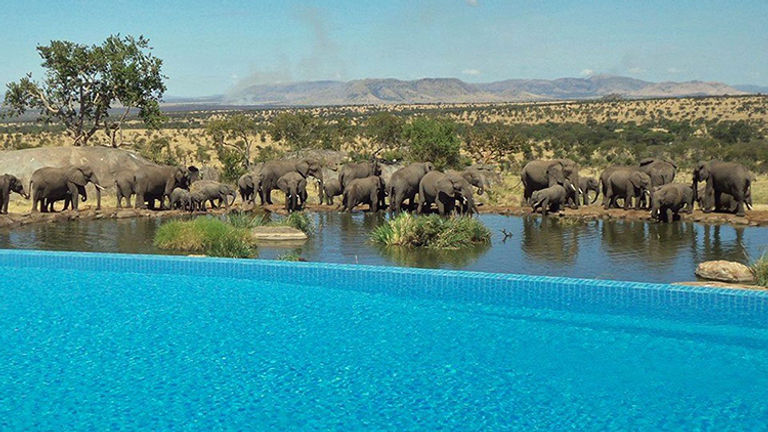 Jaw-Dropping Hotel Pools 10