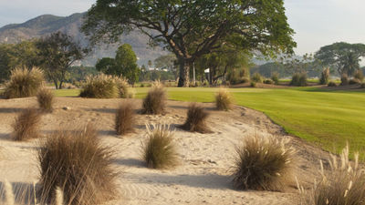 Turtle Dunes is the new 18-hole, championship golf course designed by leading golf architect and craftsman, Tripp Davis. The course is located at The Fairmont Acapulco Princess. // (c) 2013 Turtle Dunes Country Club