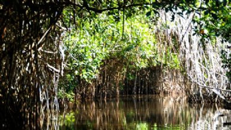 Riviera Nayarit Photo Tour