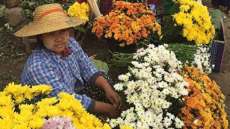 At the market, a flower seller waits for customer. // © 2016 Kenneth Shapiro