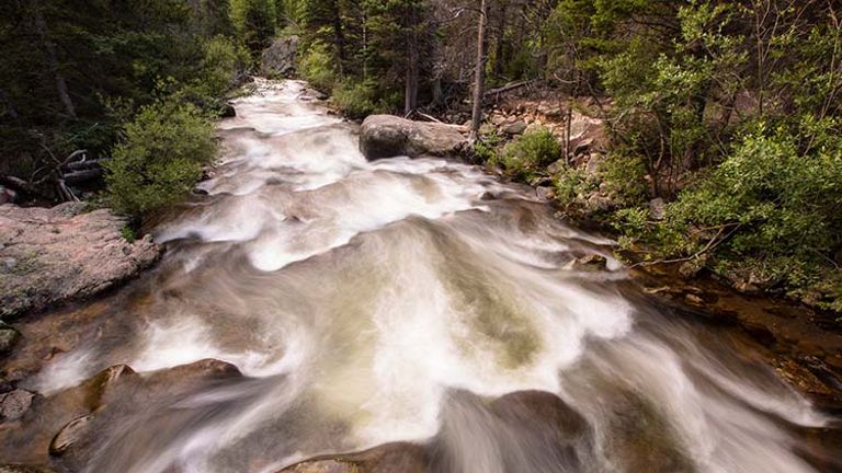 Big Thompson River, which starts in Rocky Mountain National Park, boasts a large trout population. // © 2017 Rocky Mountain National Park