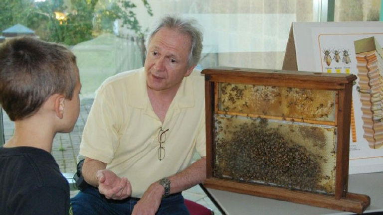 The Honey Harvest Festival provides a lesson in bees. // © 2014 Maryland State Beekeepers Association