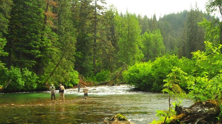 Outdoor opportunities and wildlife viewing are highlights of the Stikine-LeConte Wilderness Area. // © 2015 Christopher Batin