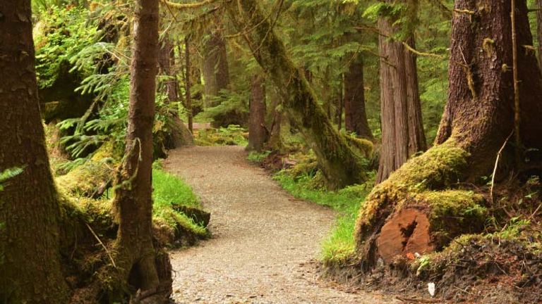 Haida Gwaii is great for exploring nature as well as cultural travel. // © 2015 Mary Lou Von Niessen