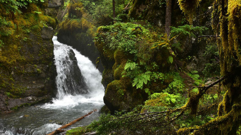 Virgin Falls in the Chugach National Forest, near Girdwood // © 2017 Christopher Batin