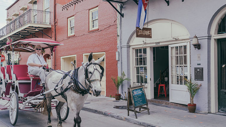 Sit back and discover the city on a horse and carriage tour. // © 2018 Paul Broussard