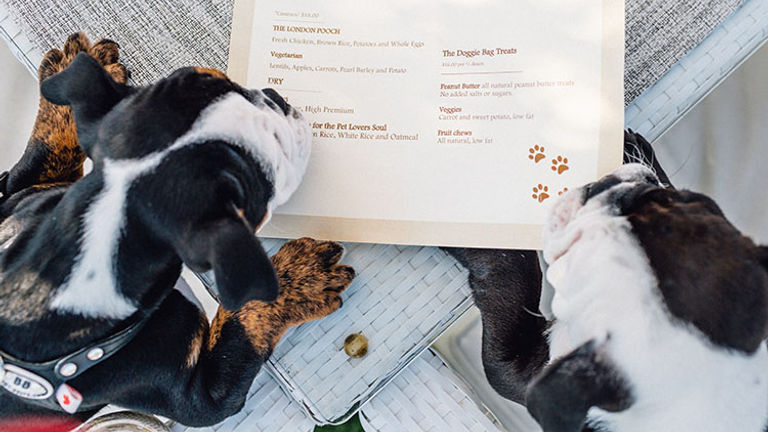 The hotel’s executive chef also created a special menu for visiting dogs that includes vegetarian, low-fat and all-natural options. // © 2017 The London West Hollywood at Beverly Hills