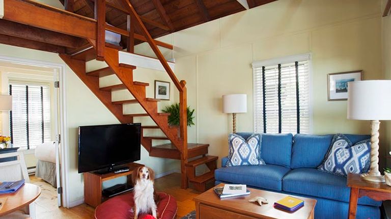 Dogs and dog lovers can stay at The Cottages at Nantucket Boat Basin’s Woof Cottages, which are pet-friendly and full of fantastic amenities. // © 2017 The Cottages at Nantucket Boat Basin