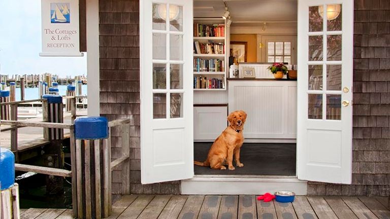 Guests can sign up for dog walking services and dog bed turndown services, too. // © 2017 The Cottages at Nantucket Boat Basin