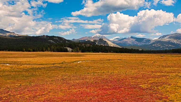Tuolumne Meadows is situated along the Tioga Pass, with a backdrop of glaciated mountain peaks and colorful vegetation, depending on the season. // © 2016 iStock