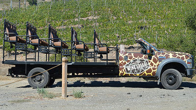 At Malibu Wine Safaris, a tiered open-top vehicle takes passengers through Saddlerock Ranch. // © 2015 Valerie Chen