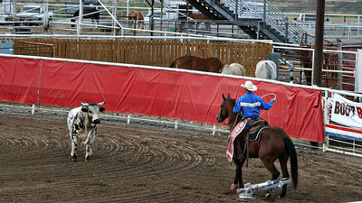 Clients who love Wild West culture will want to explore the city of Cody, Wyo., for old-fashioned American fun, including Cody Nite Rodeo. // © 2015 Creative Commons user snerkology