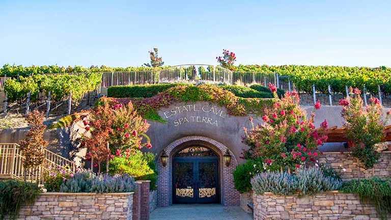 Below the vineyard is the 22,000-square-foot Estate Cave, which also houses the underground Spa Terra. // © 2017 The Meritage Resort and Spa
