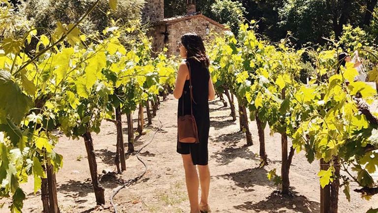 The Castle Winery Tour stops in Castello di Amorosa winery in Calistoga, Calif., for a tour before heading back to the Napa Wine Train Station near downtown Napa. // © 2017 Valerie Chen