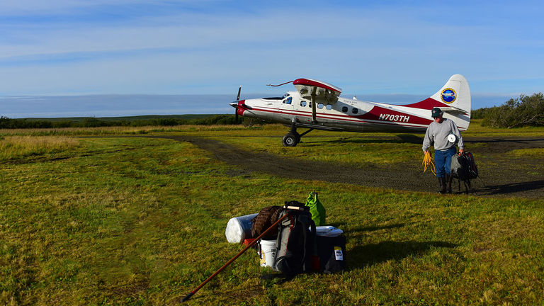 Visitors can take a bush plane to the Tsiu River, a popular spot for photographing brown bears.