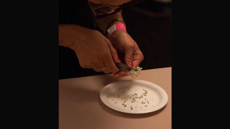 Le Comptoir and Allumette (shown here) clipped individual flower petals to top their dishes. // © 2013 Mindy Poder