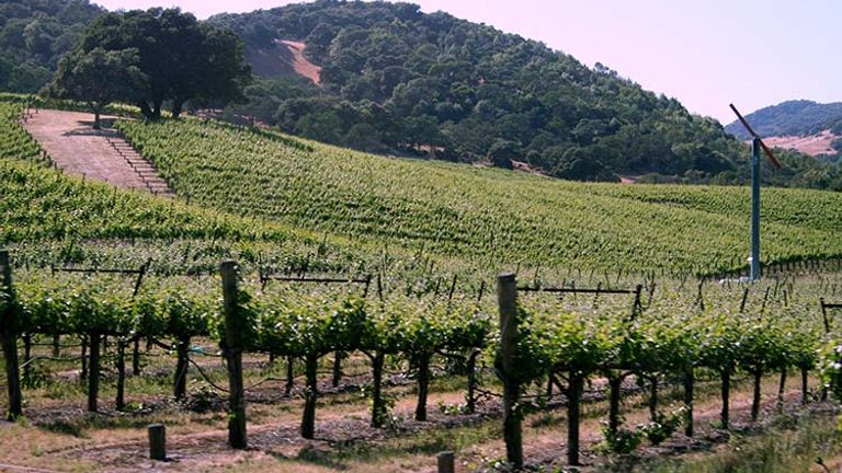 Wine aficionados will love the Applegate Valley Wine Trail, which features 17 wineries and vineyards. // © 2017 Creative Commons user donabelandewen