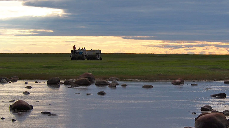 After a day of polar bear viewing, guests head back to the lodge on The Rhino. // © 2016 Zorianna Kit