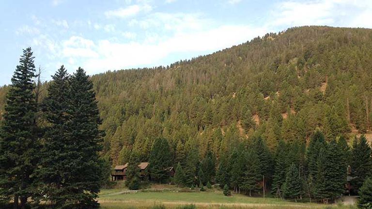 fly fishing on the gallatin river