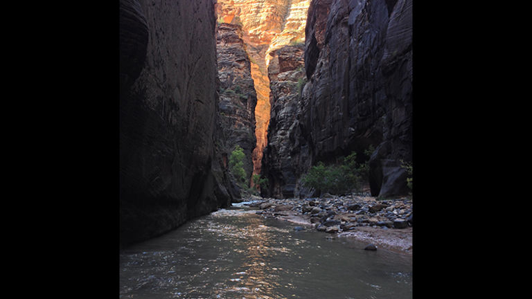 The Narrows canyon is so narrow (natch) that the river covers the bottom in many spots, and visitors must wade or swim to continue on. // © 2016 Michelle Juergen