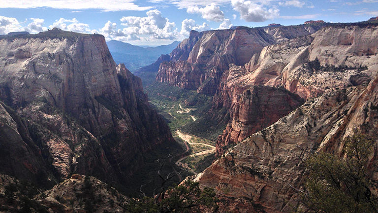 Observation Point is a strenuous, 8-mile hike with an elevation gain of more than 2,100 feet. // © Michelle Juergen