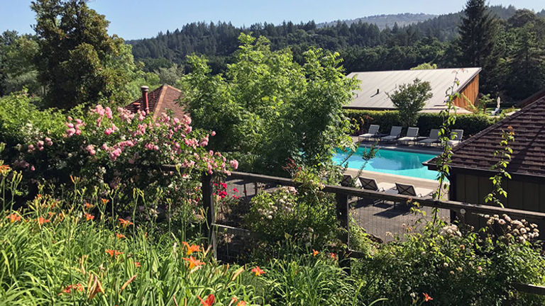 Guests can take a dip in the outdoor heated pool. // © 2017 Valerie Chen