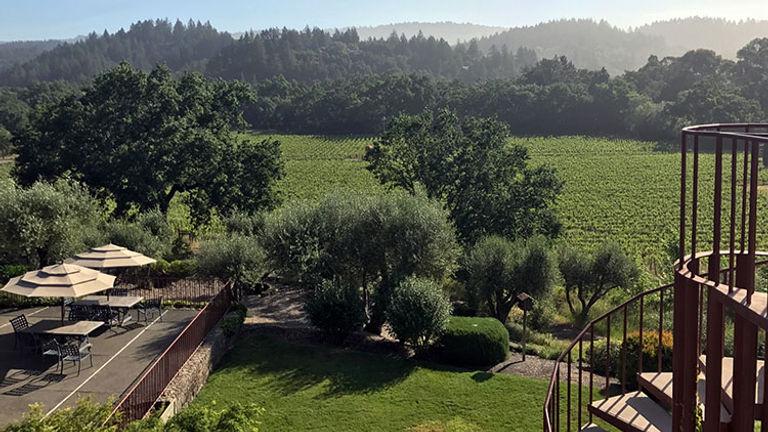 Some guestrooms look out into nearby vineyards, including those of Duckhorn Vineyards, Freemark Abbey and Hourglass Winery. // © 2017 Valerie Chen