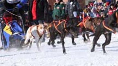 Fairbanks to Host Arctic Winter Games