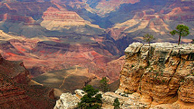 Pink Jeep Tours Expands to Grand Canyon