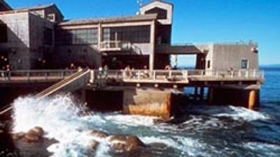 Monterey Bay Aquarium Added to CityPass