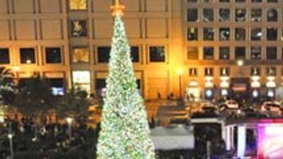 San Francisco Travel Info for the Holidays