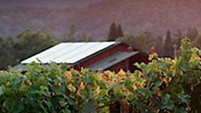Napa Valley Film Festival Offer